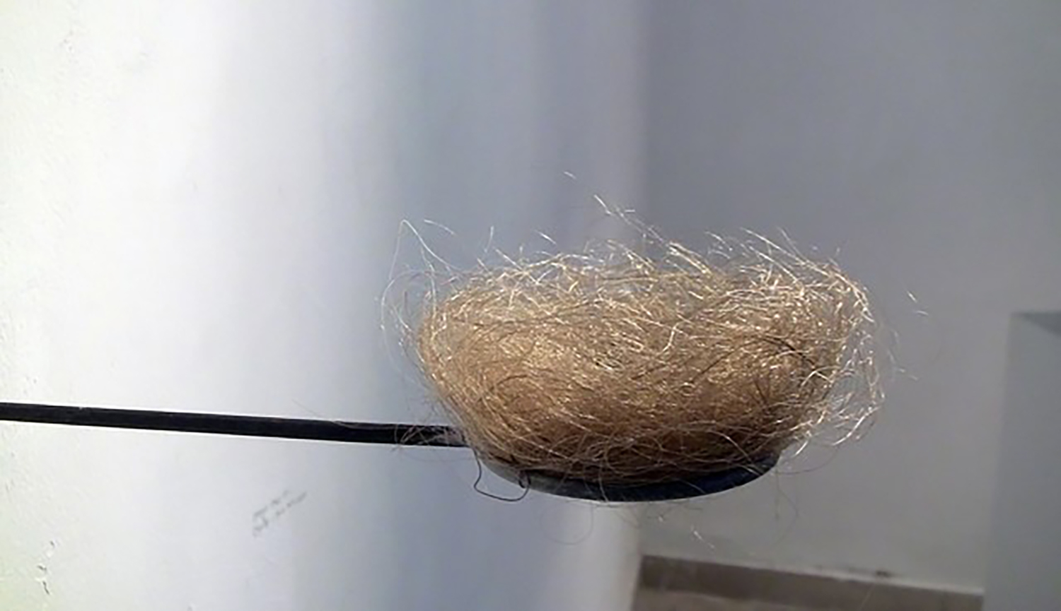 1 Darija Zmak Kunic Nest Sculpture Hair 2012 1