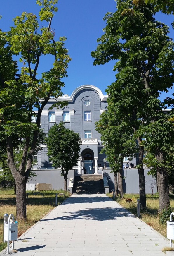 Fasada Akademije, Glavni Ulaz
