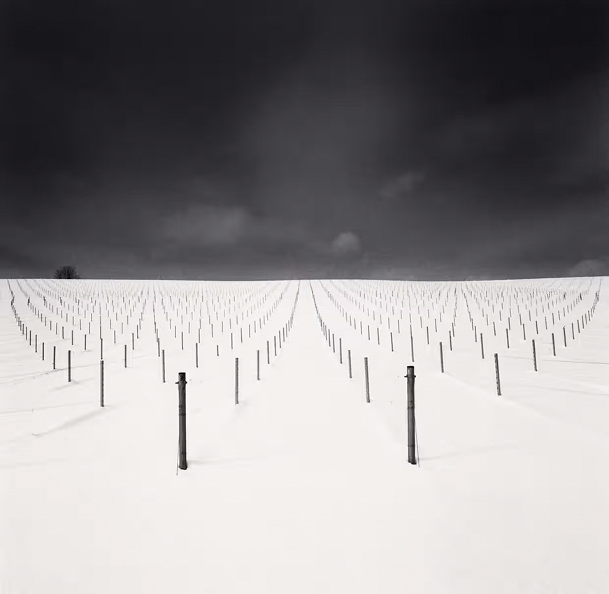 Michael Kenna, Field Of Sticks, Hokkaido, Japan, 2023