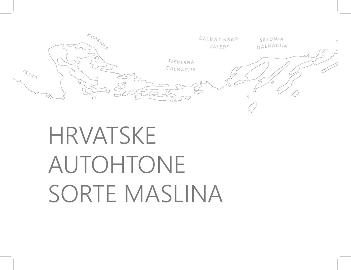 Web 5vizuala Masline Page 1