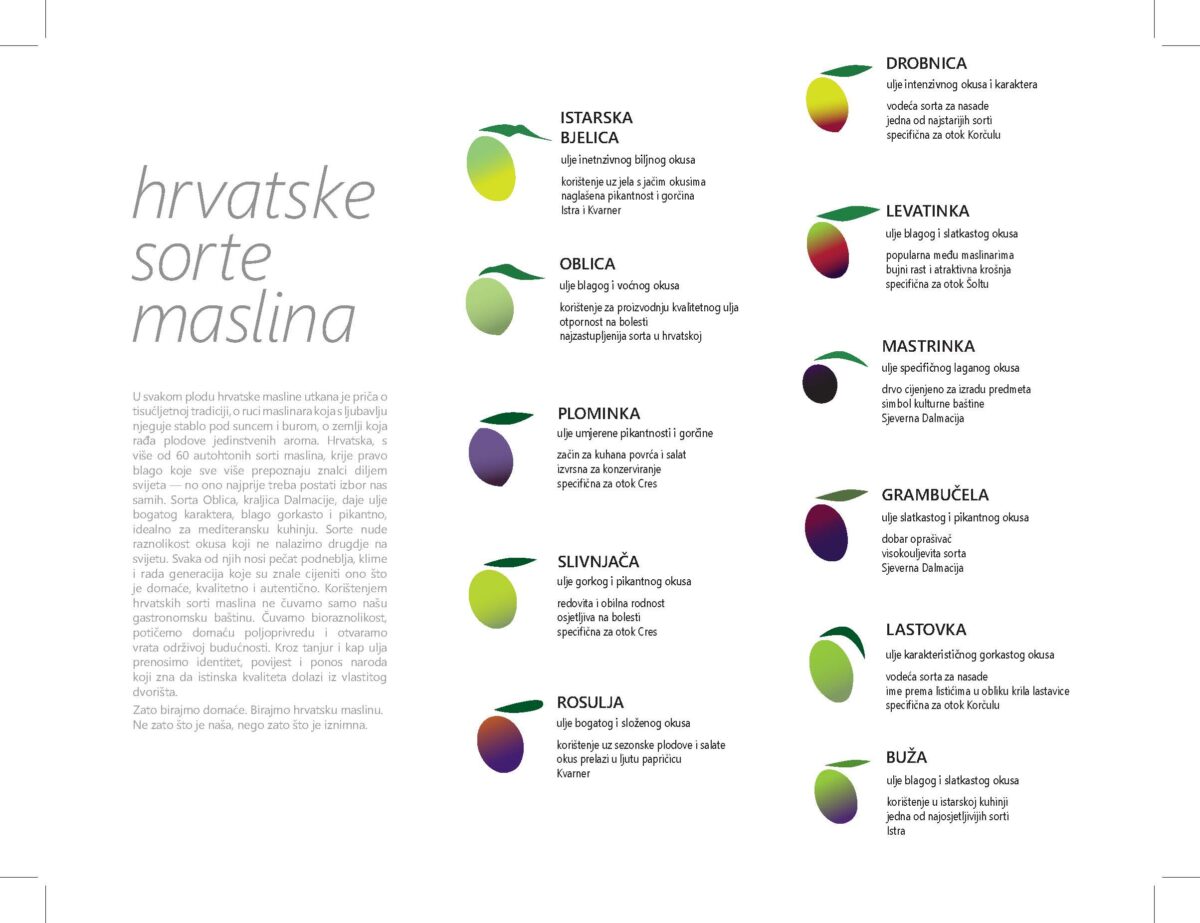 Web 5vizuala Masline Page 3