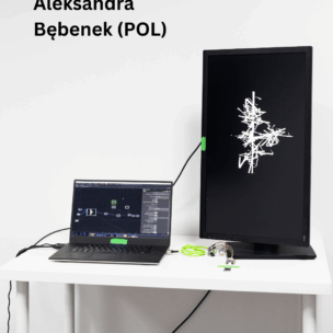 Pixxelpoint Aleksandra Bebenek