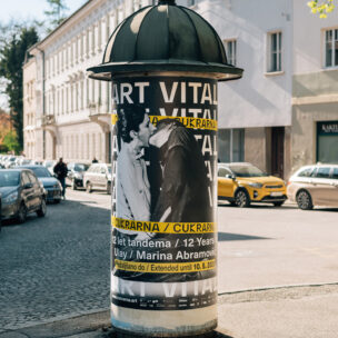 Art vital, Ajdin Bašić